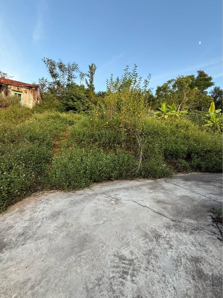 Đất thổ cư 725m² tại thôn 7 Kì Sơn, Thủy Nguyên - Giá chỉ 2 tỷ, xây biệt phủ lý tưởng!