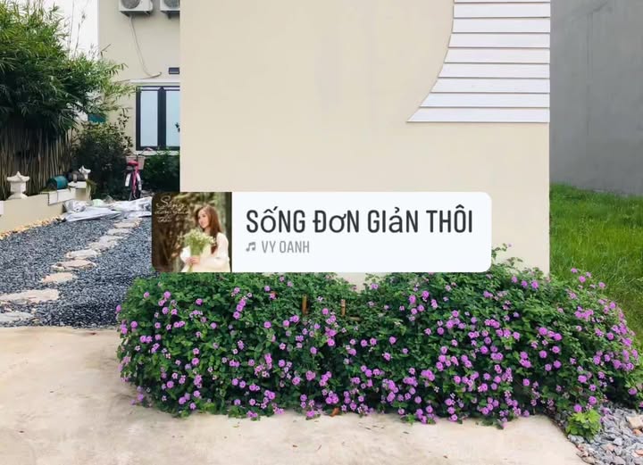 Đất nền Khu đấu giá TDP Vàng, Phường Việt Yên 108m² - Nhà cấp 4, giá chỉ 3 tỷ!