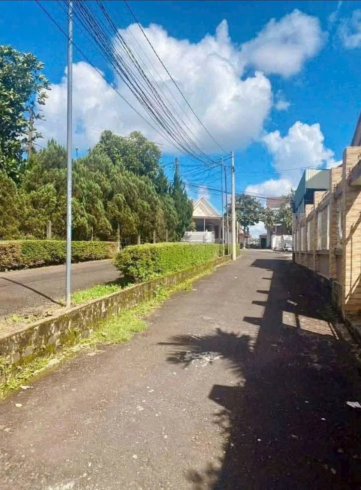 Đất thổ cư Hẻm 214 Phan Đình Phùng Bảo Lộc 114m² - Chính chủ bán nhanh chỉ 1.75 tỷ!