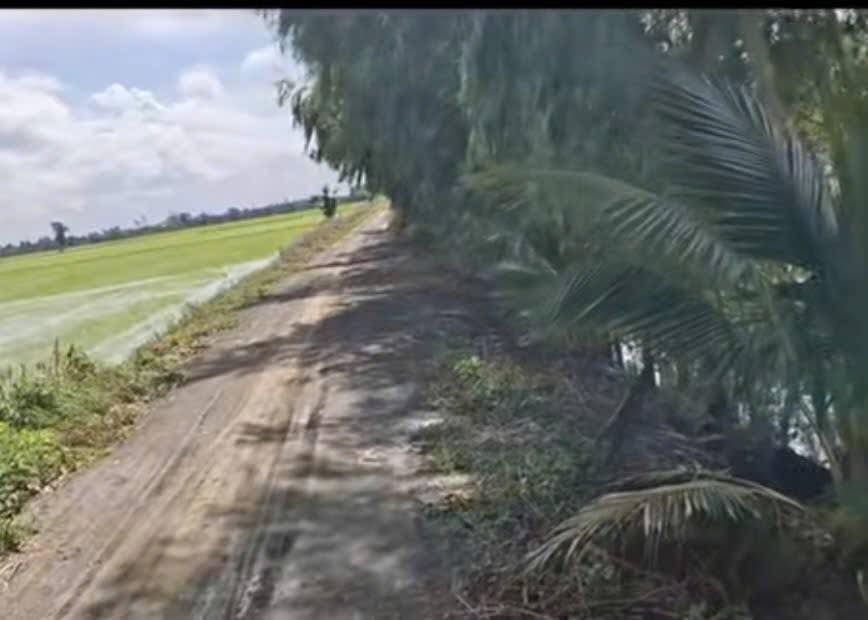 Đất nền Hậu Thạnh Tây Tân Thạnh 27.450m² giá 3.961 tỷ - Đường ô tô vào tận nơi!