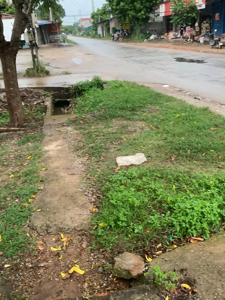 Đất nền 100m² tại Tỉnh lộ 261C, Phú Bình - Kinh doanh sầm uất, giá thỏa thuận!