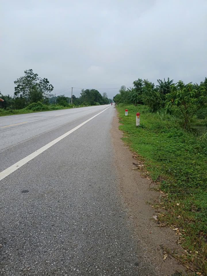 Đất thổ cư Thọ Tiến, Triệu Sơn 480m² - Cần bán gấp, giá tốt!