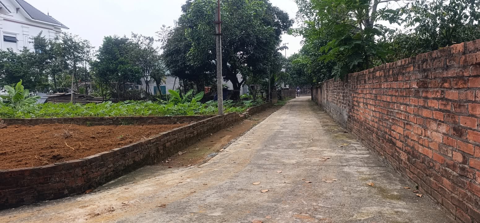 Đất nền Hòa Trúc - Quốc Oai 187m² - Giá thỏa thuận - Nở hậu, tiện ích đầy đủ!