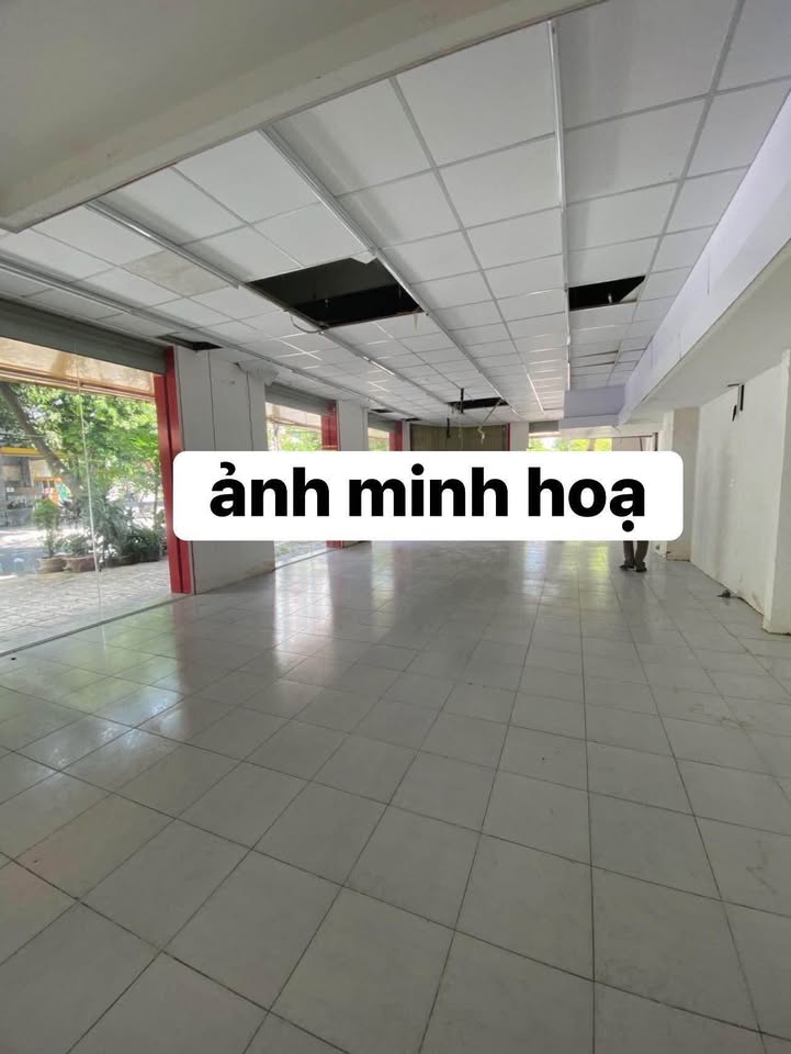 Cho thuê Front House 2 Mặt Tiền Thành Thái, Cẩm Lệ 160m² - Kinh doanh mọi lĩnh vực!