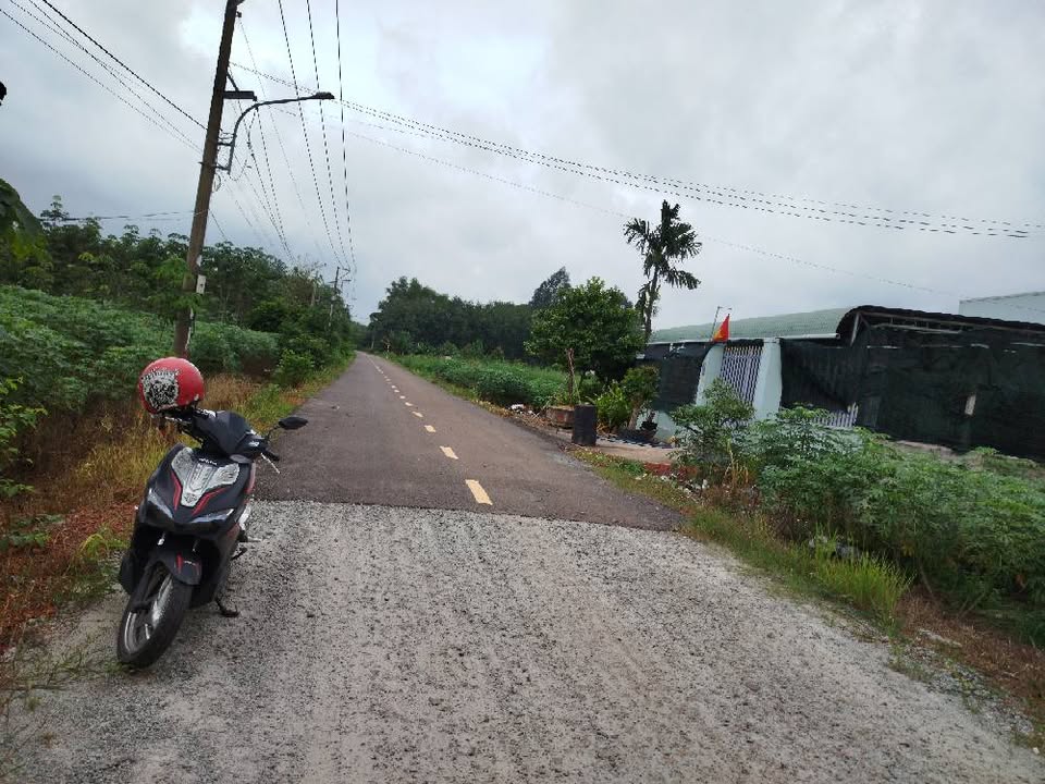 Đất thổ cư Tân Hiệp, Phú Giáo - Bình Dương 184,9m² giá 690 triệu - Sổ đỏ chính chủ, ô tô vào tận nơi!