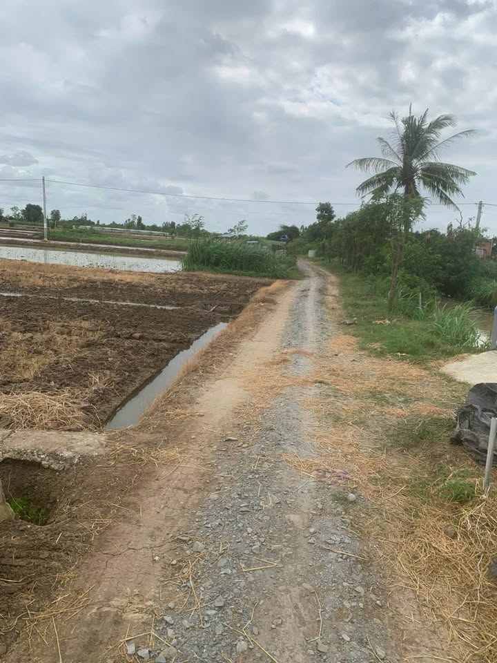 Đất nền Gò Công Đông 1552m² giá 1.3 tỷ - Cơ hội đầu tư hấp dẫn!