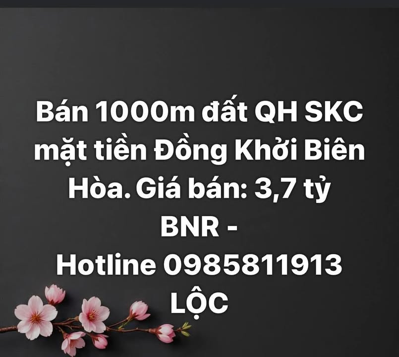 Đất mặt tiền Đồng Khởi Biên Hòa 1000m² giá 3.7 tỷ - Cơ hội đầu tư không thể bỏ lỡ!