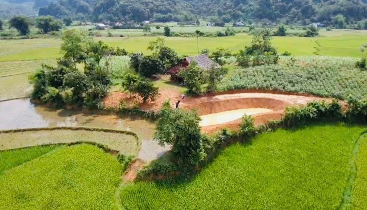 Đất Farm tại Mỹ Hòa, Tân Lạc 7775m² giá 4 tỷ - Hòn đảo biệt lập giữa cánh đồng!