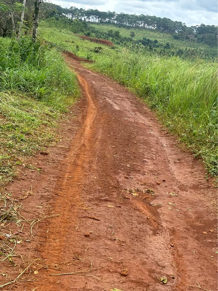 Đất nền Đắk R'Tih 1050m² giá 140 triệu - Cơ hội đầu tư tuyệt vời!