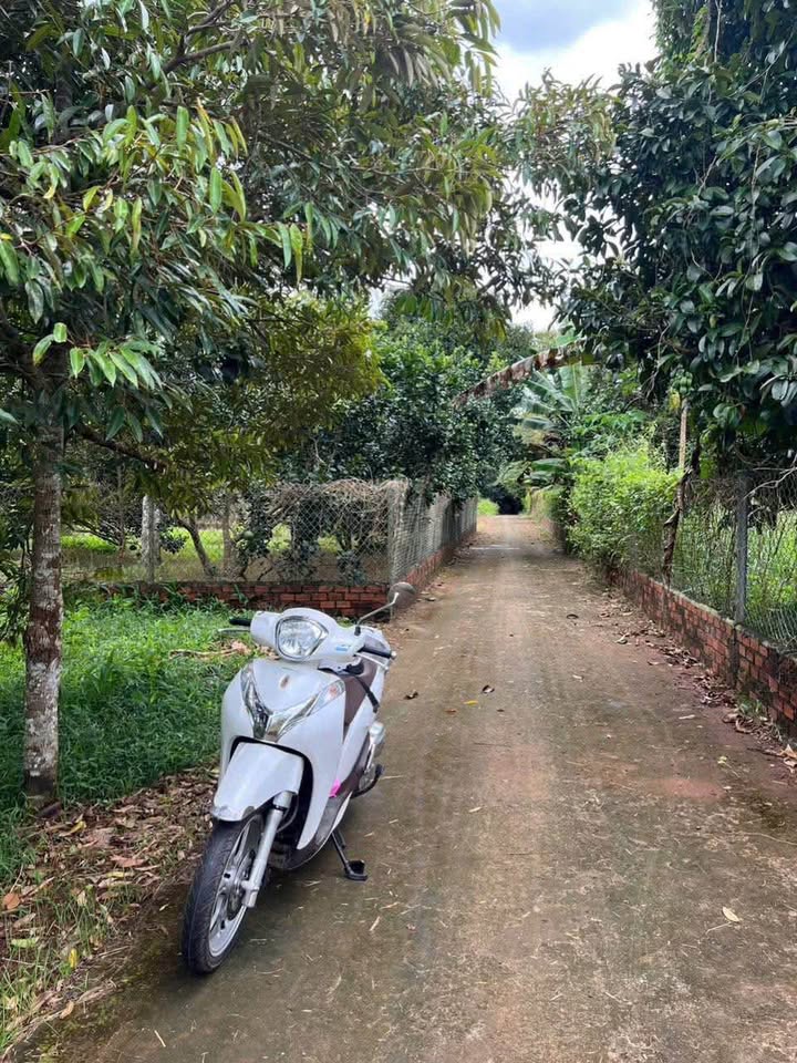 Đất nền thổ cư Xuân Tân, Long Khánh 100m² giá 650 triệu - Cơ hội đầu tư tuyệt vời!