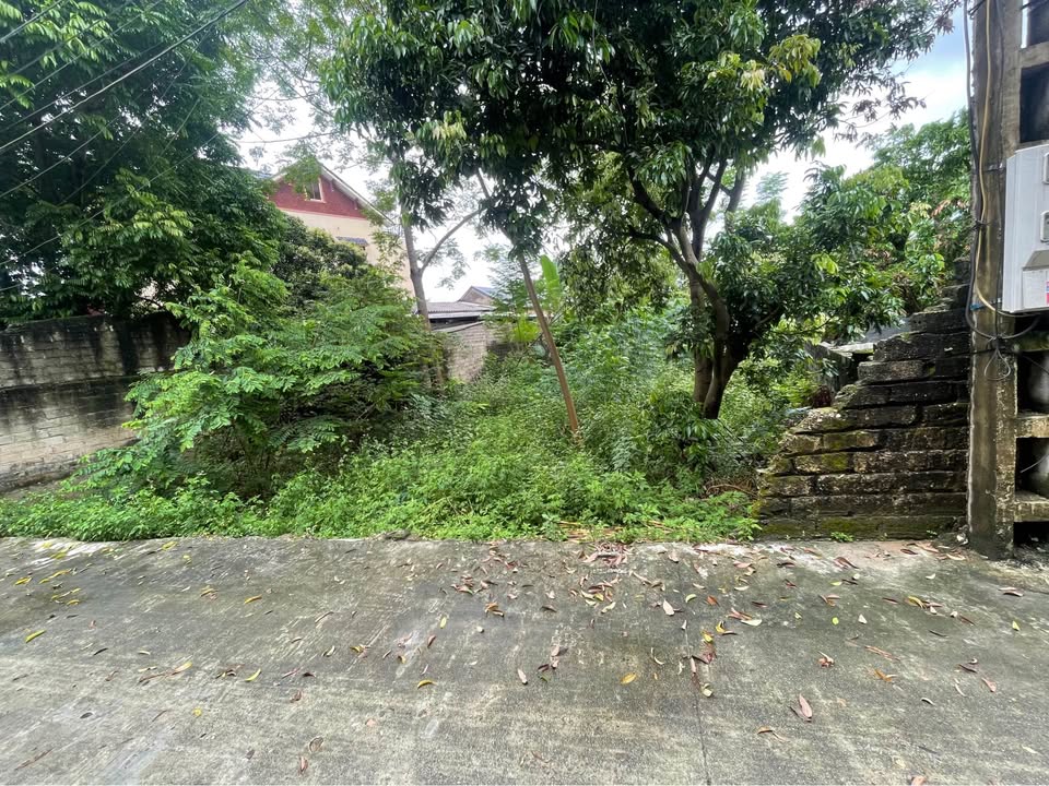 Đất nền chính chủ tại thôn Tân Sơn, xã Hợp Thịnh, Bắc Ninh 300m² - Giá thỏa thuận hấp dẫn!