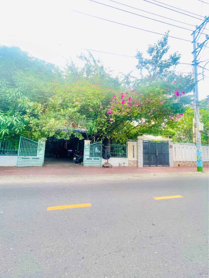 Đất Kinh Doanh Hoàng Văn Thụ Quy Nhơn 79m² giá 6 tỷ - Đầu tư sinh lời ngay!