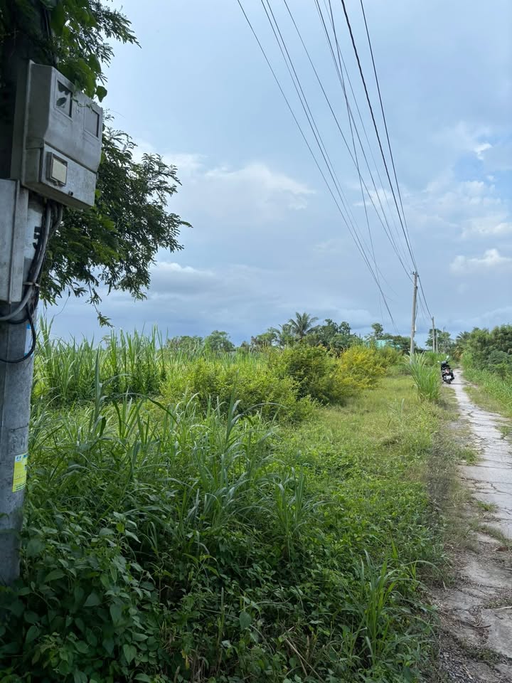 Đất cho thuê tại Bình Ân, Gò Công Đông - Thỏa thuận giá hấp dẫn!