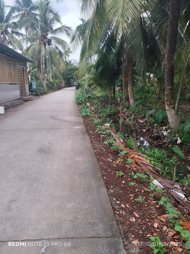 Đất nền Ấp Tân Ngãi, Mỏ Cày Bắc 822.2m² giá 800 triệu - Đầu tư sinh lời ngay!