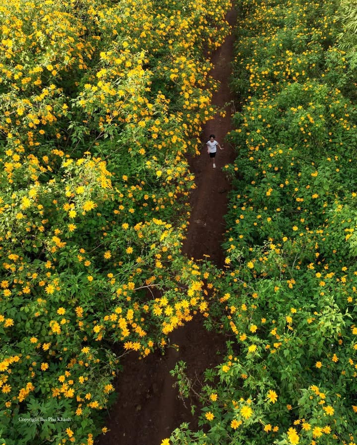 Đất nền 144m² tại Hiệp Thạnh, Đức Trọng - Giá chỉ 1.6 tỷ, cơ hội đầu tư tuyệt vời!