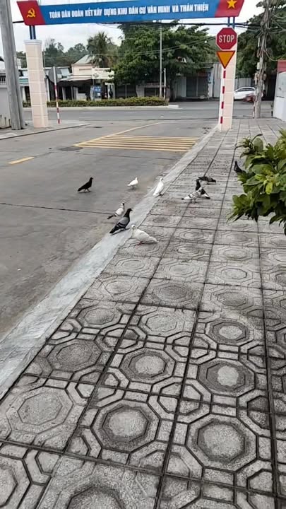 Phòng trọ cho thuê tại Bắc Nha Trang 30m² giá 1.6 triệu - Thoáng mát, gần trường