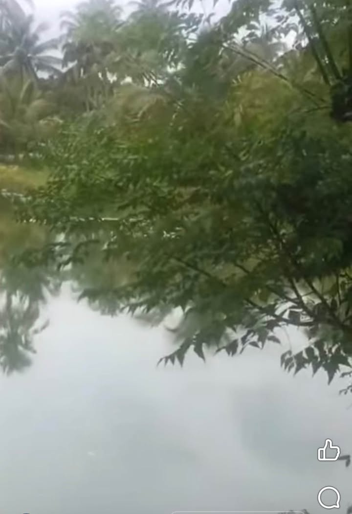 Đất ao 4 sào gần KDL Suối Mơ, 1.7 tỷ - Đầu tư sinh lời ngay!