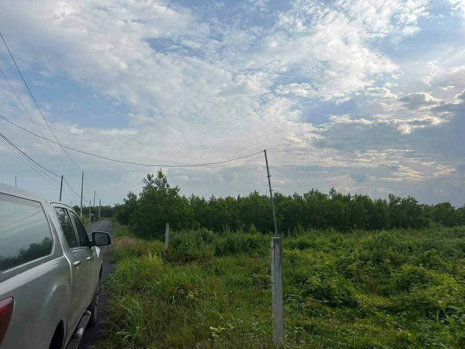 Đất thổ cư Phước Long Thọ, Long Đất 2055m² giá 7.8 tỷ - Sổ đỏ chính chủ!