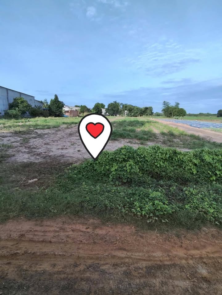 Đất nền chính chủ Long Chử 335m² giá 390 triệu - Đầu tư sinh lời ngay!