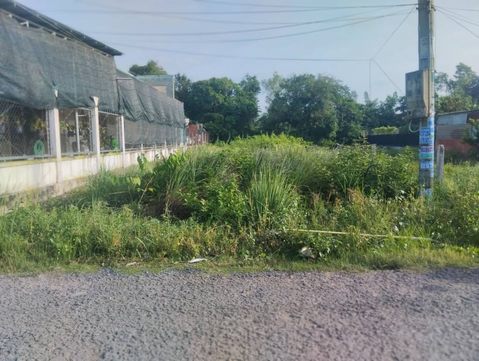 Đất mặt tiền KP An Quới, An Hòa, Trảng Bàng 330m² giá 1.75 tỷ - Thương lượng ngay!