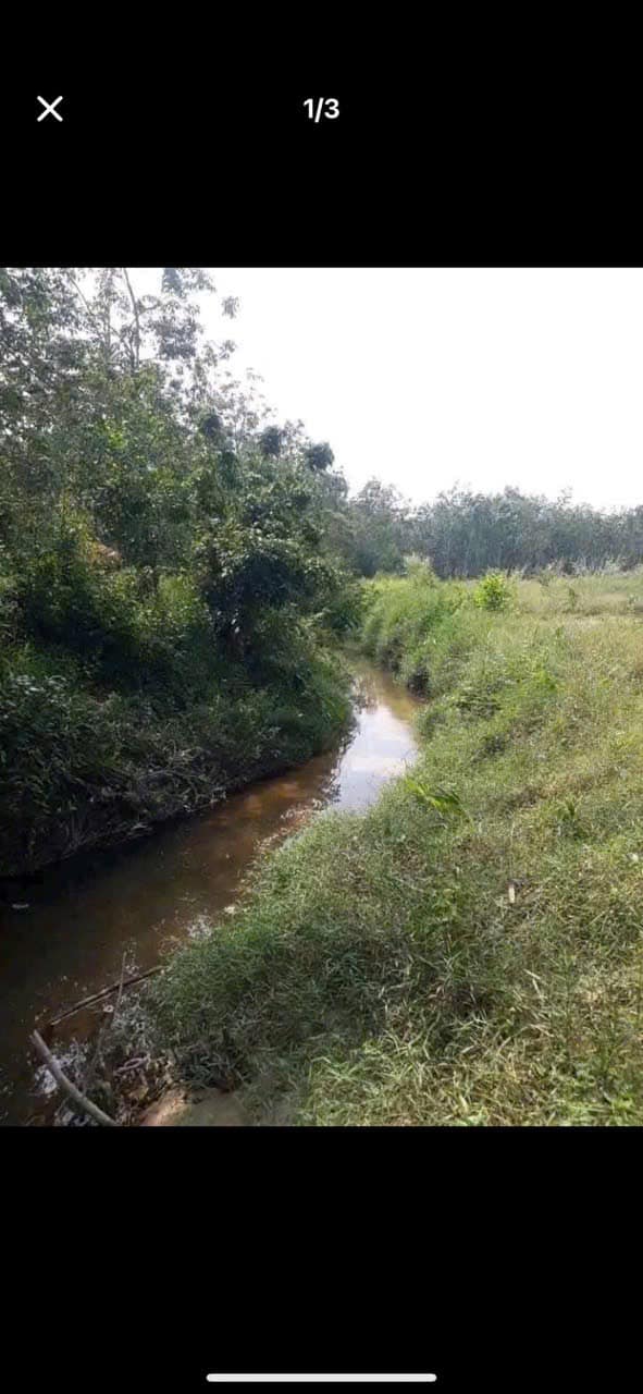 Bán đất xã Bình Minh, TP. Tây Ninh 500m² giá 200 triệu - Đất trồng cây ăn trái lý tưởng!