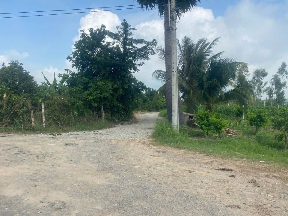 Đất CLN 500m² tại Bình Minh, Tây Ninh - Sổ hồng riêng, view núi