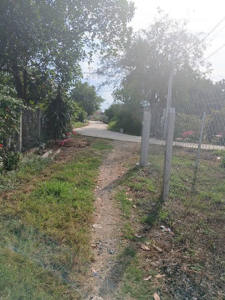 Đất thổ cư Hẻm 6 Trần Phú 85m² giá chỉ 2xx triệu - Cơ hội đầu tư tuyệt vời!