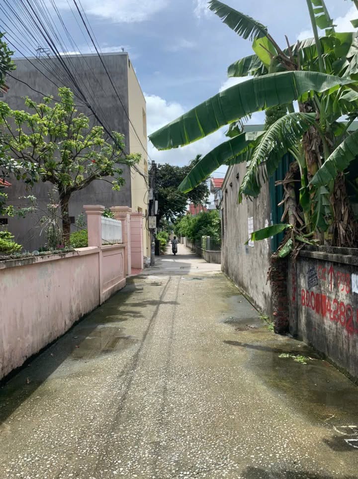 Đất nền Đào Yêu 2, Hồng Thái 98m² - Giá tốt, thương lượng ngay!