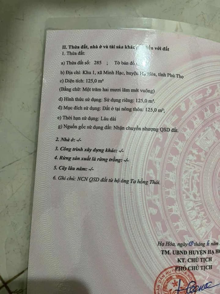 Đất thổ cư 125m² mặt đường QL2D xã Hạ Hòa - Kinh doanh đa ngành chỉ 1.3 tỷ!