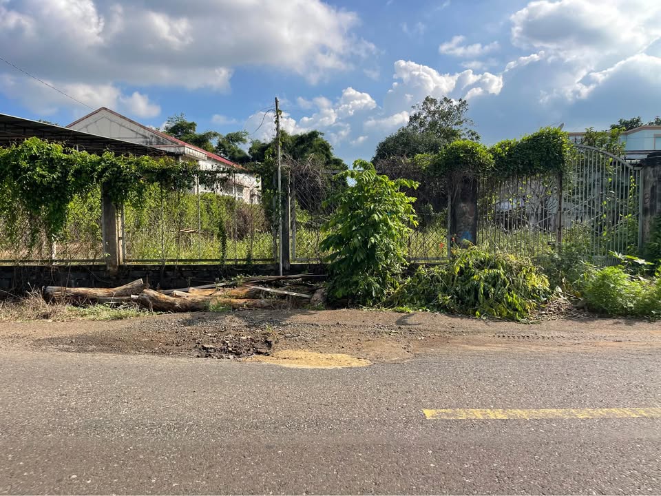 Đất nền biệt thự vườn Hòa Long 1048m² giá 6.98 tỷ - Đầu tư sinh lời ngay!