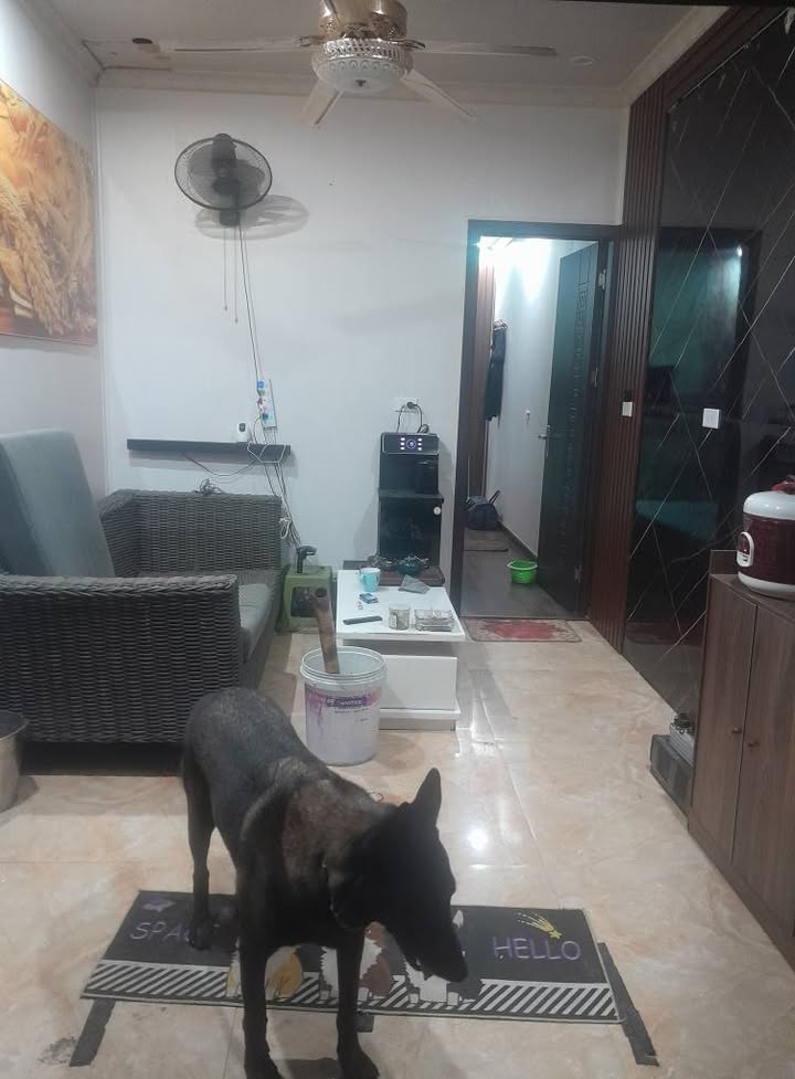 Nhà cho thuê 55m² tại Ngõ 168 Nguyễn Xiển - Giá chỉ 7 triệu/tháng!