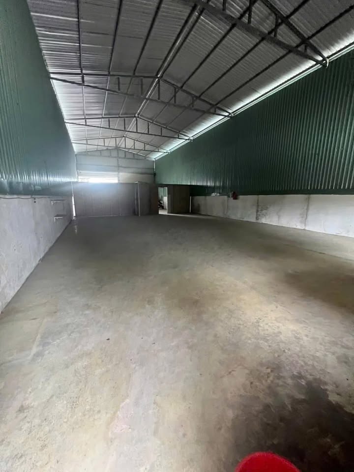 Kho xưởng cho thuê tại Trảng Dài, Biên Hòa 300m² - Giá chỉ 11 triệu!