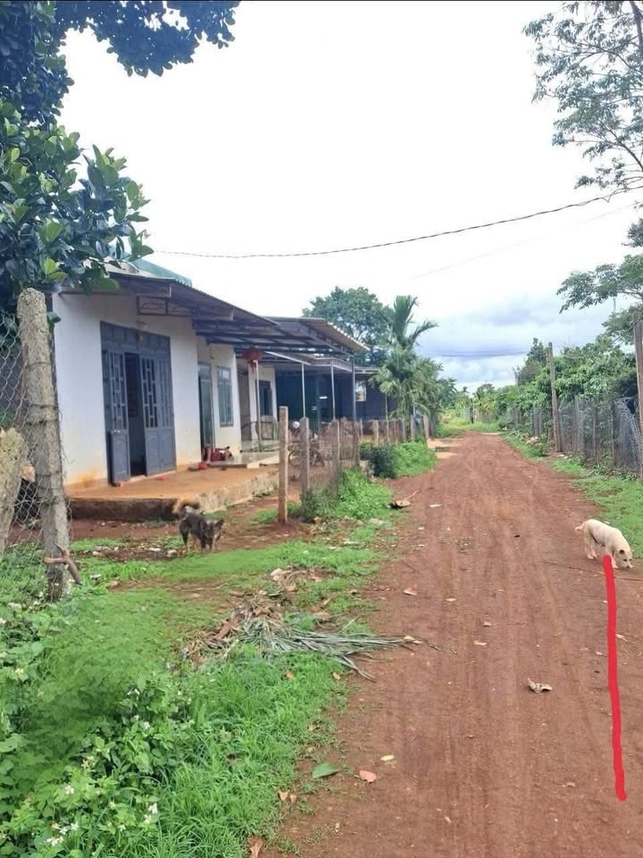 Đất nền Pơng Drang, Krông Búk 175m² giá 650 triệu - Cơ hội đầu tư tuyệt vời!