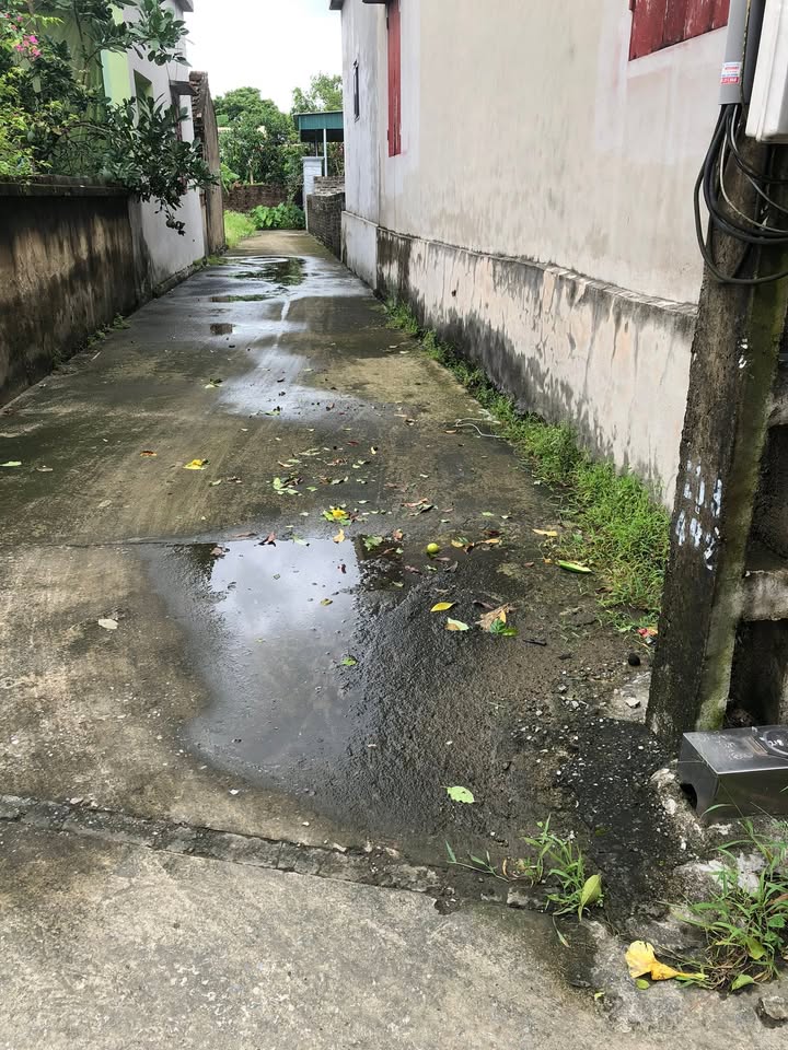 Đất nền thôn Phú Trung, Khánh An, Yên Khánh - 144m² giá tốt, chính chủ bán!