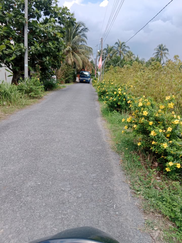 Đất thổ cư 115m² xã Tân Long Hội, giá 300 triệu - Cơ hội đầu tư tuyệt vời!