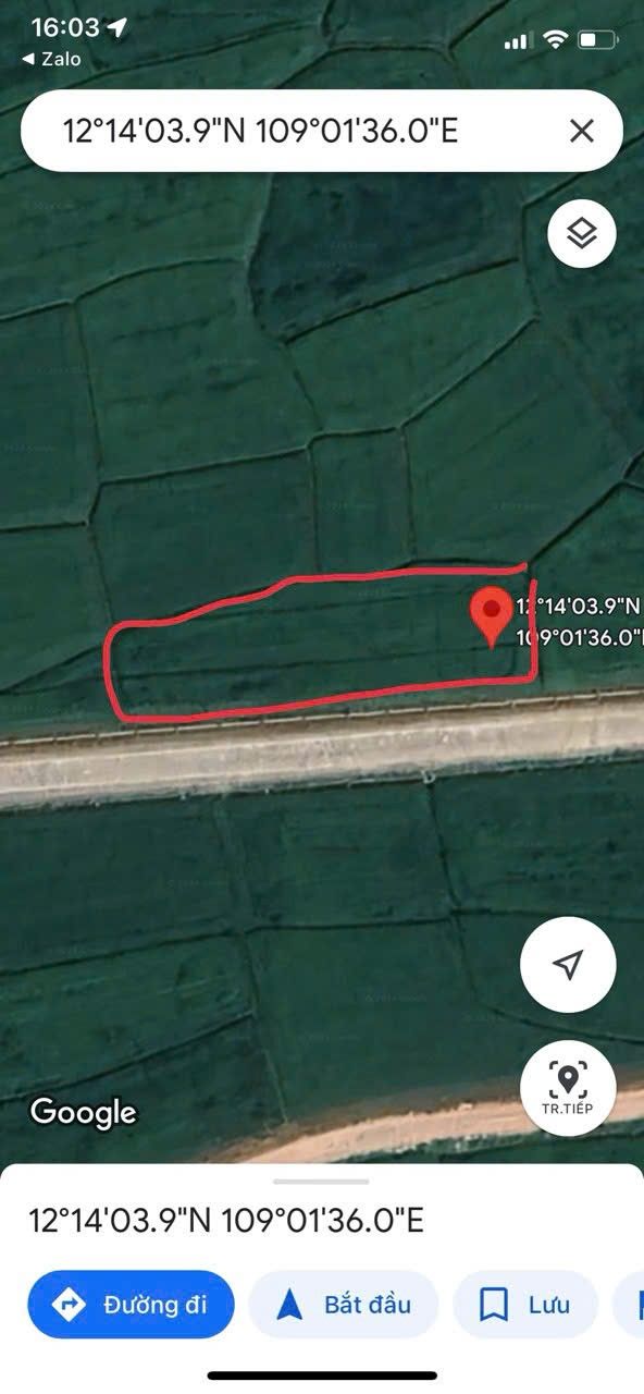 Đất lúa 1155m² tại Bình Lộc, Diên Khánh - Giá chỉ 300 triệu!