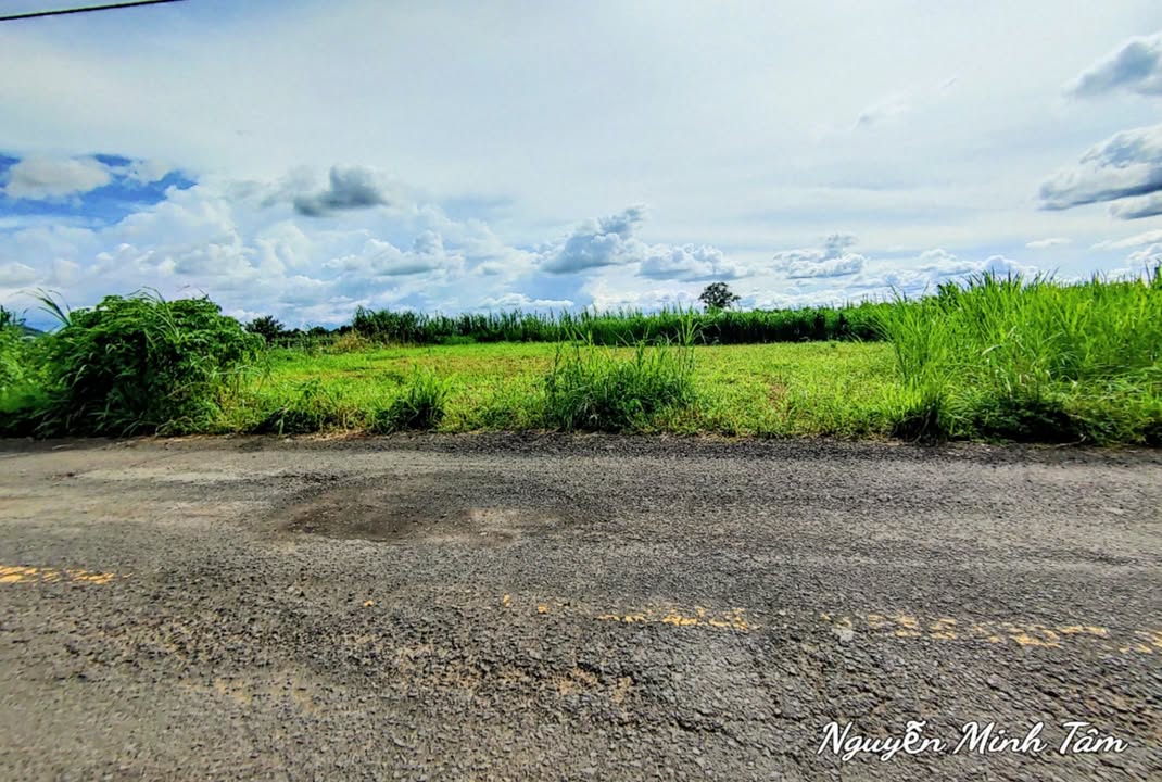 Đất mặt tiền đường DH2, xã Tân Hội, Lâm Đồng 1009m² giá 2.25 tỷ - Cơ hội đầu tư tuyệt vời!