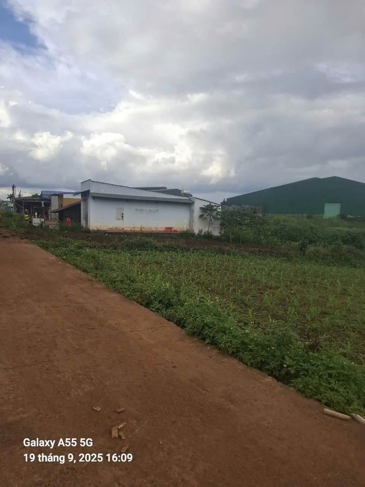 Đất nền Phú Hội, Đức Trọng 224m² giá 1.25 tỷ - Đầu tư sinh lời ngay!