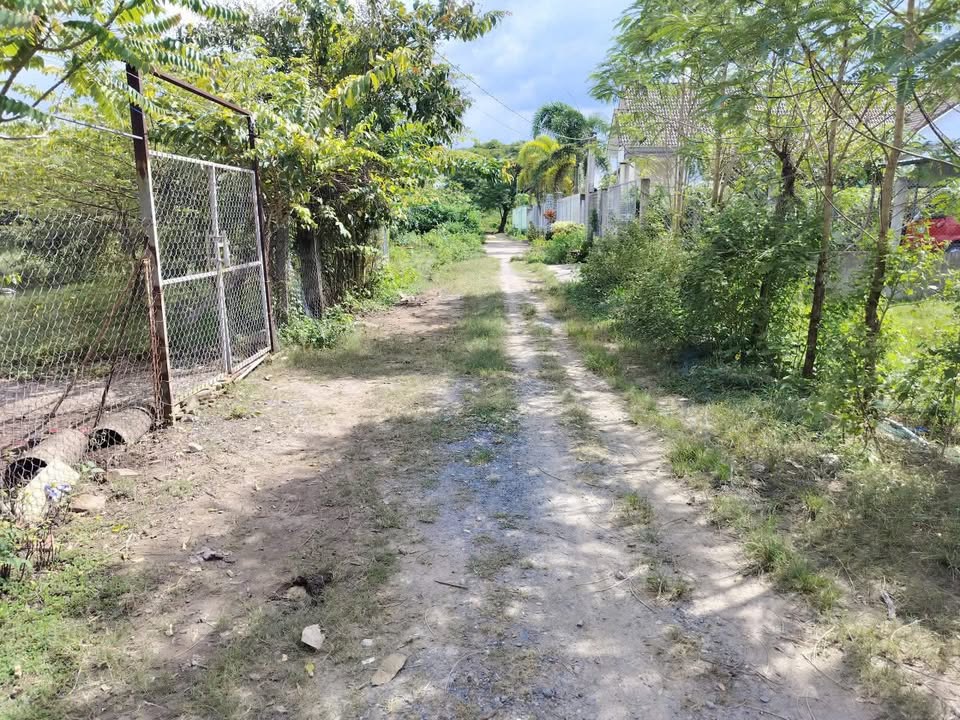 Đất nền đẹp phường Thanh Đức, TP. Vĩnh Long 194m² giá 1.1 tỷ - Vị trí đắc địa cho đầu tư