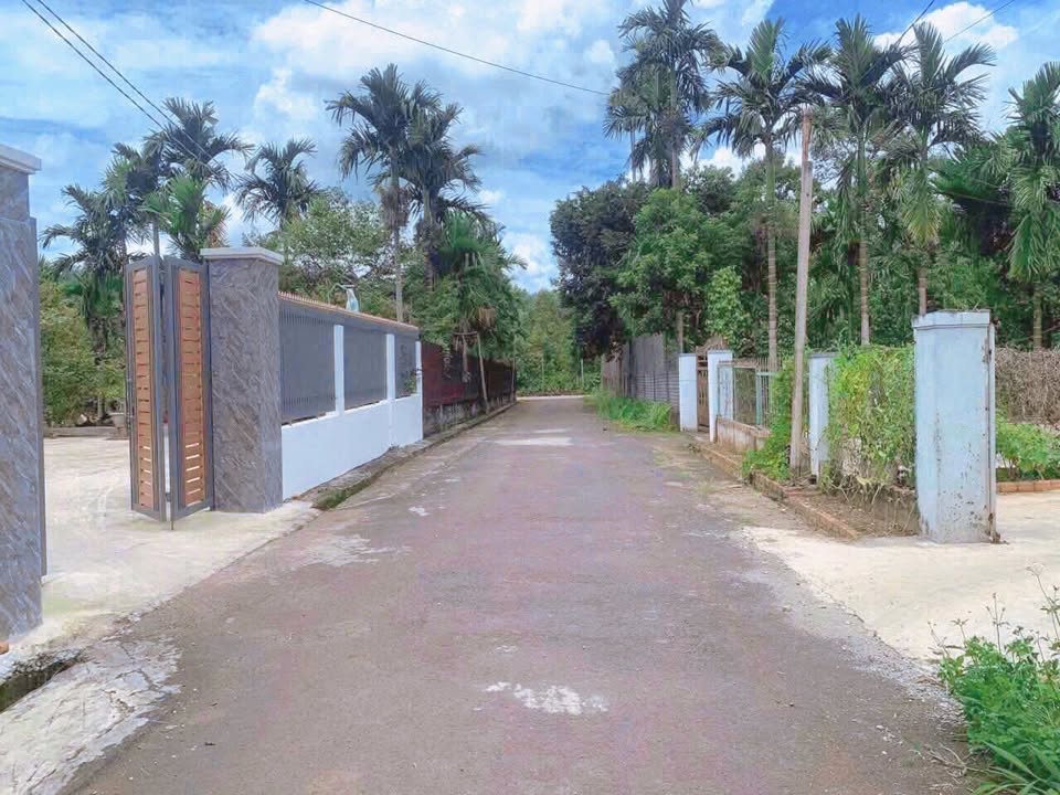 Đất thổ cư 240m² khu phố 1, xã Ea Ktur, huyện Cư Kuin - Giá 24 tỷ, đầu tư sinh lời!