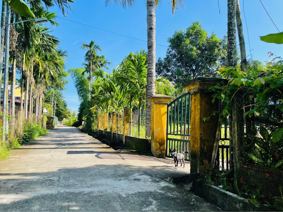 Đất nền thôn Giáo Ái, Điện Hồng, 103m² giá 500 triệu - Cơ hội đầu tư hấp dẫn!