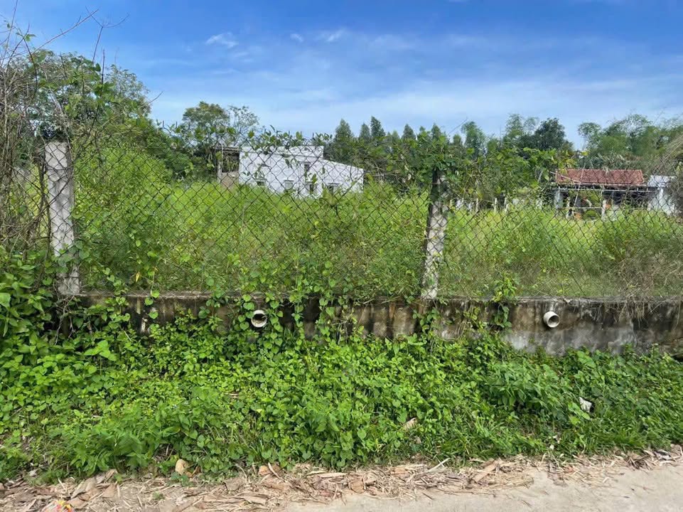 Bán lô đất Phường Điện Hòa, Điện Bàn 125m² giá 9xx triệu - Đường bê tông thông thoáng!