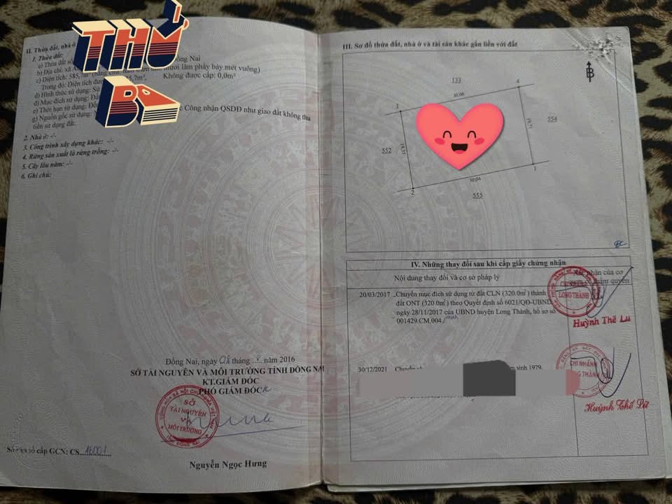 Đất nền Ấp 7 An Phước 585m² giá 3.1 tỷ - Sổ đỏ chính chủ, thích hợp cho nhà vườn!