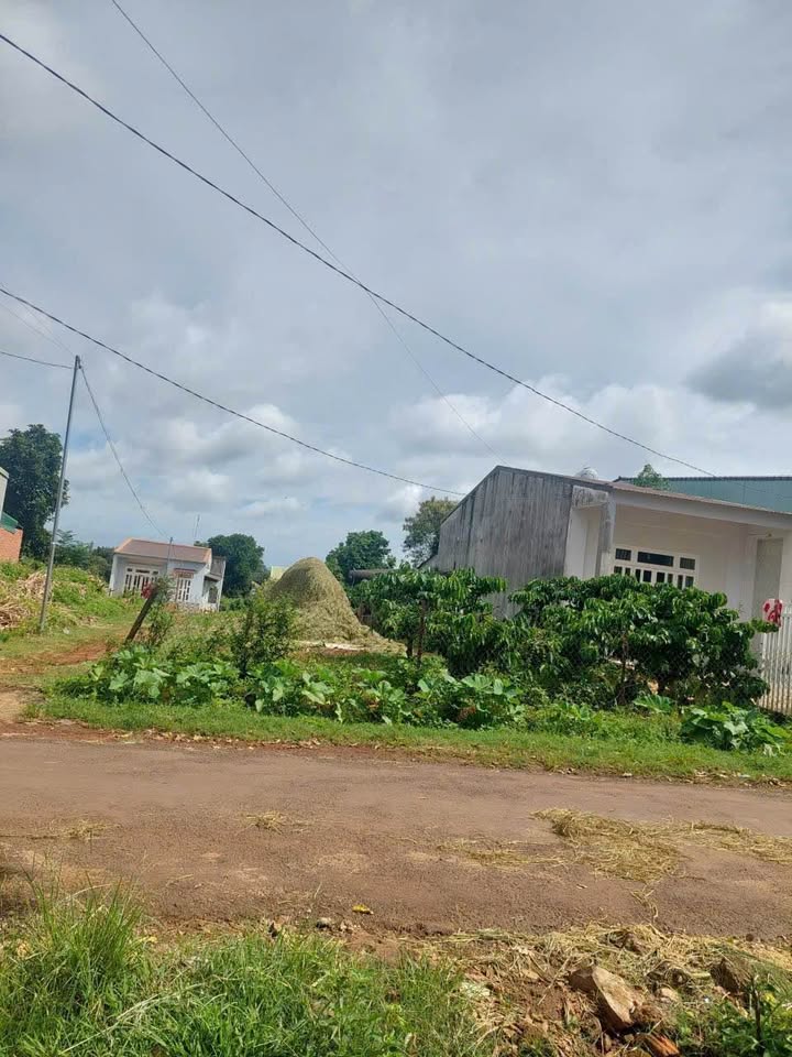 Đất góc 2 mặt tiền đường A1, thôn 4, Cư Êbur, 175m² - Giá chỉ 1.58 tỷ!