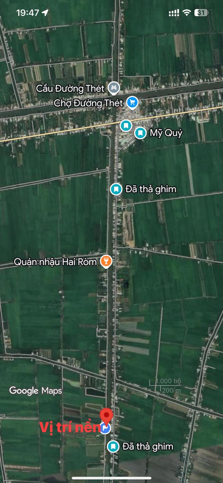 Đất nền 340m² tại xã Nhị Mỹ, huyện Cao Lãnh - Giá chỉ 800 triệu!