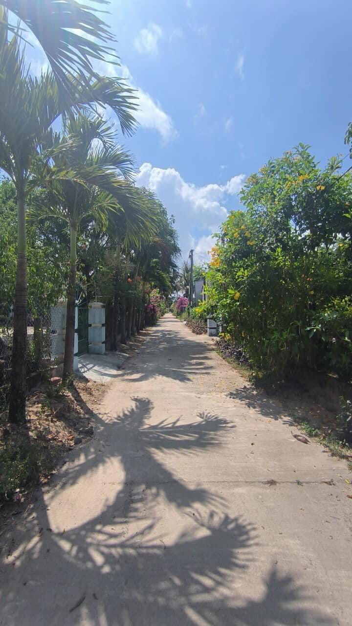 Đất thổ cư 100% tại thị trấn Ngô Mây, 486m² chỉ 1 tỷ - Đầu tư sinh lời ngay!