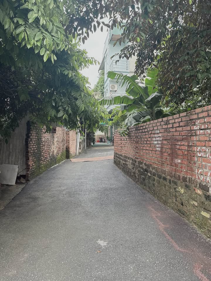 Đất nền Việt Trì 56m² giá 2.3 tỷ - Đầu tư sinh lời ngay đầu phố ẩm thực!