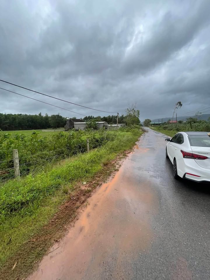 Đất mặt tiền đường nhựa Đại Sơn 340m² giá chỉ 1 tỷ - Cơ hội đầu tư tuyệt vời!