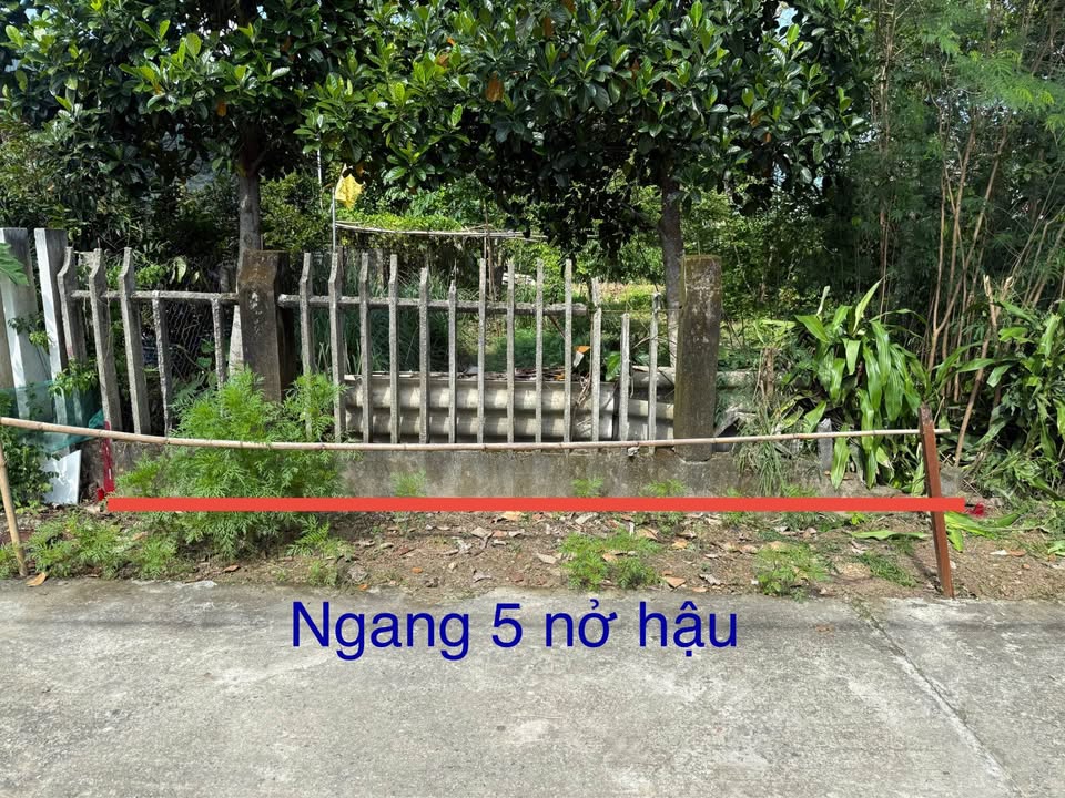 Đất nền Hòa Tiến Đà Nẵng 185m² giá 900 triệu - Sổ hồng chính chủ, vị trí đẹp!