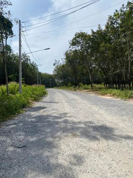 Đất nền Tân Hiệp, Tân Uyên 4250m² giá 25 tỷ - Đầu tư sinh lời cao!